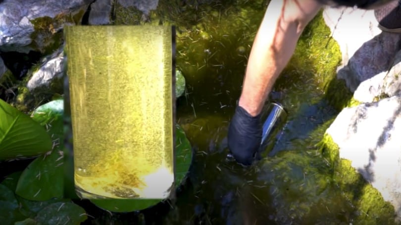 How To Make A Water Filter In The Wild - Bugoutbill.com