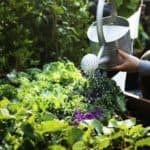 Best Soil Test Kit For Vegetable Garden - Bugoutbill.com